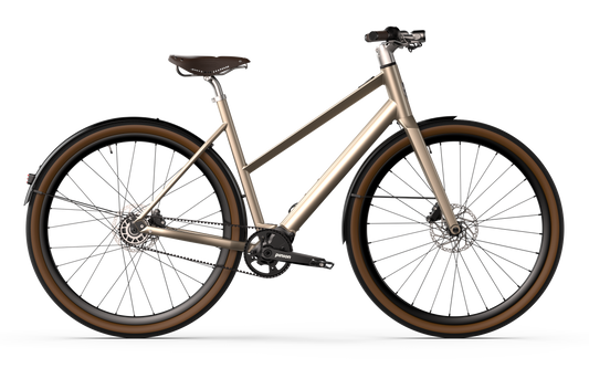 Desiknio Serotonin Mahle X20 Pinion 1.9 250Wh 9-speed 